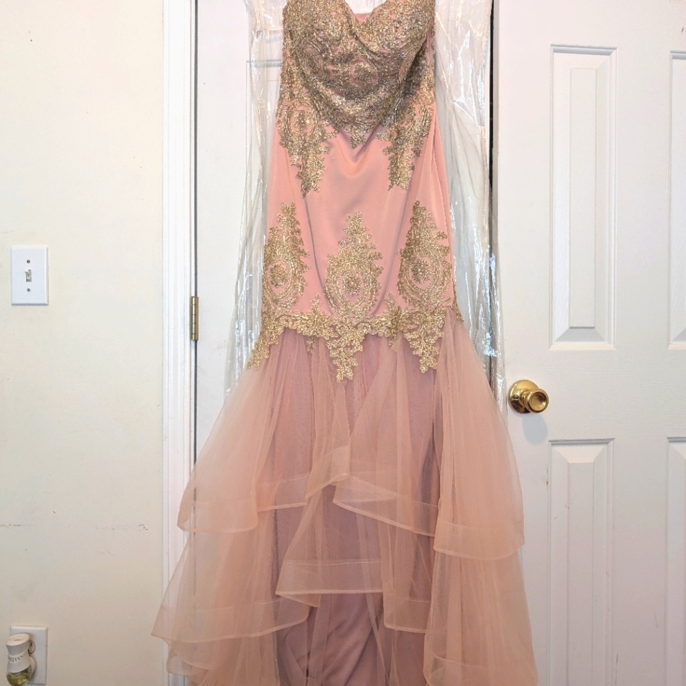 ***Beautiful Gala/Prom Dress✨***